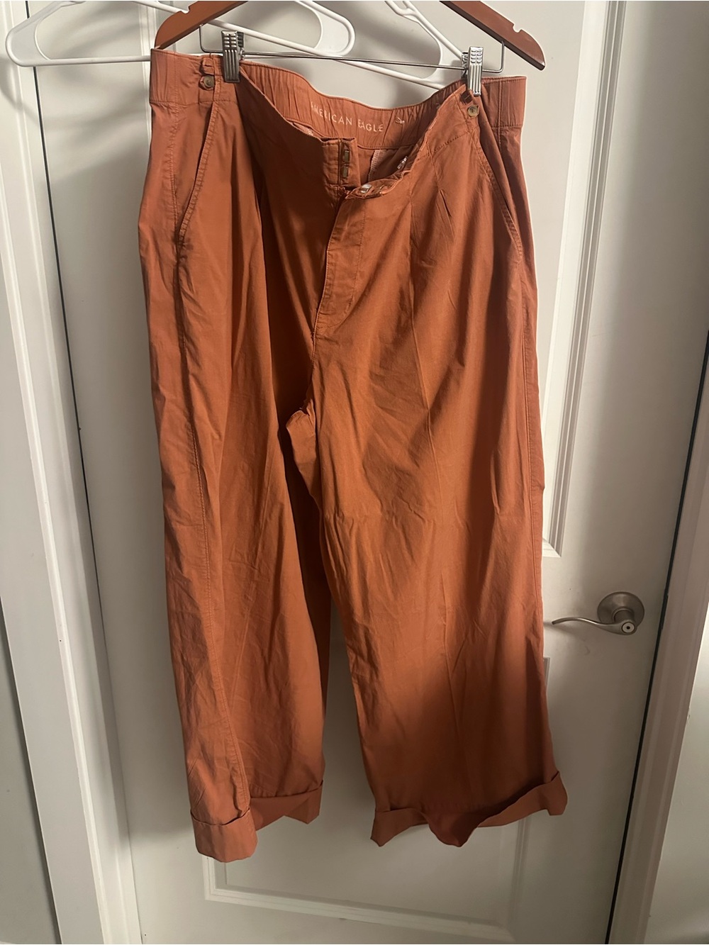 American Eagle Outfitters Rust Orange Wide-Leg Pants